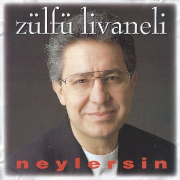 Zulfu Livaneli Neylersin