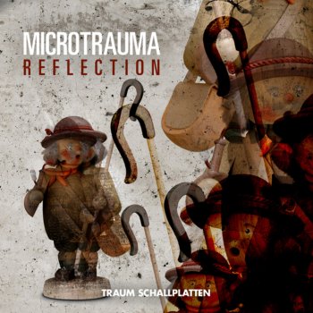 Microtrauma Reflection