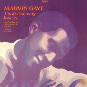 Marvin Gaye How Can I Forget
