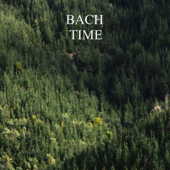 Johann Sebastian Bach feat. The English Concert & Trevor Pinnock Brandenburg Concerto No.4 In G Major, BWV 1049: 2. Andante