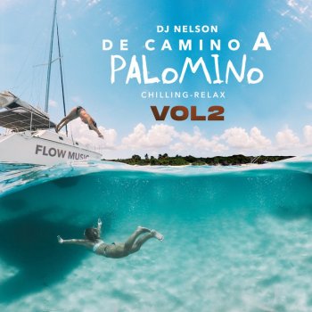 DJ Nelson feat. Babywine & Alejandro Armes Afterhour