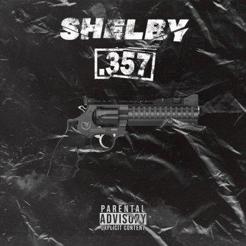 Shelby691 357