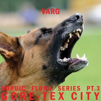 Varg Gore-Tex シティ