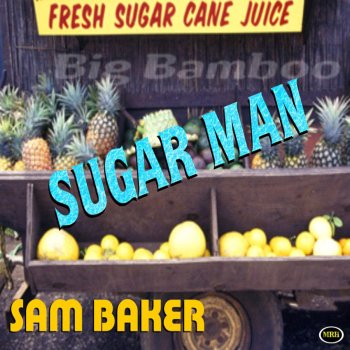 Sam Baker Stranger Sensation