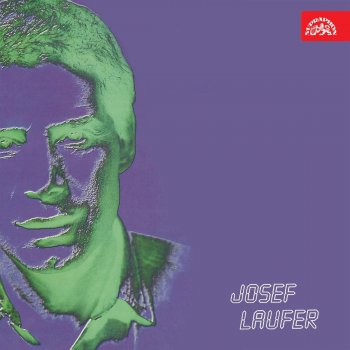 Josef Laufer Poslední Let
