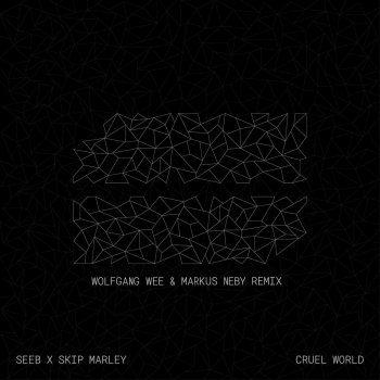 Seeb feat. Skip Marley Cruel World (Wolfgang Wee & Markus Neby Remix)