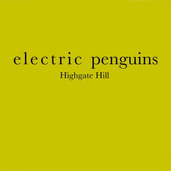 Electric Penguins Highgate Hill (Lights DC Remix)