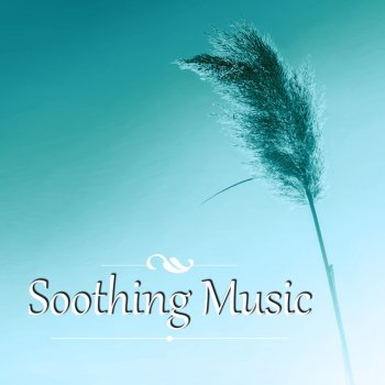 Healing Meditation Zone Concenrtation Music