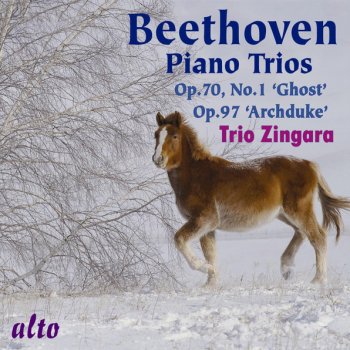 Ludwig van Beethoven Piano Trio No. 2 in G major, Op. 1 No. 2: I. Adagio - Allegro vivace