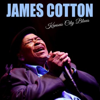 James Cotton How Long Can A Fool Go Wrong - Live