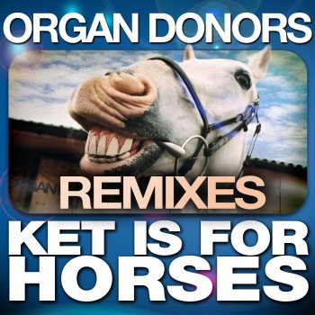 Organ Donors feat. JR Sax & Hyper Activ Ket Is for Horses - JR Sax & Hyper Activ Remix
