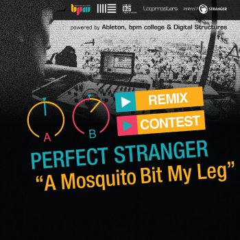 Perfect Stranger A Mosquito Bit My Leg (Manu Ferrantini Remix)