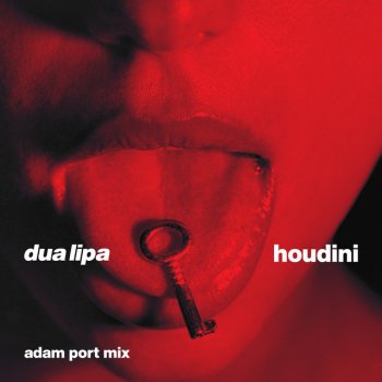 Dua Lipa Houdini (Adam Port Mix)