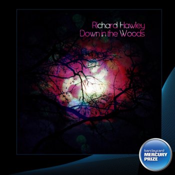 Richard Hawley Down in the Woods (2012 Barclaycard Mercury Prize Awards)