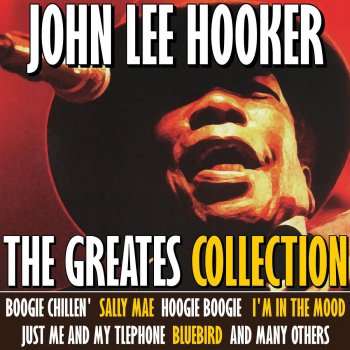 John Lee Hooker Decoration Day Blues