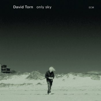 David Torn Only Sky