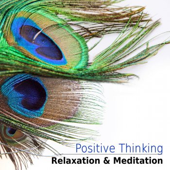 Relaxation Zone Meditation Spa