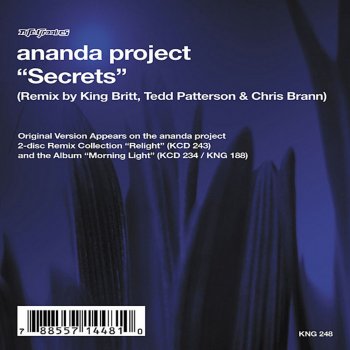 Ananda Project Secrets (Tedd Patterson's Vibe Mix)