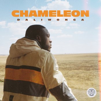 Daliwonga feat. Kabza De Small & DJ Maphorisa Chameleon