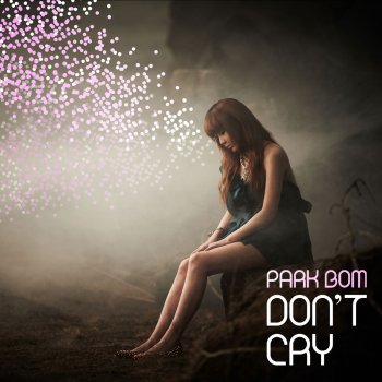 Park Bom Don't Cry