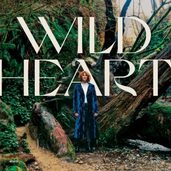 Kim Walker-Smith Wild Heart (Live)