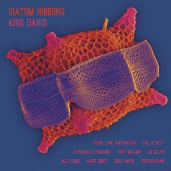 Kris Davis feat. Nels Cline Rhizomes (feat. Nels Cline)