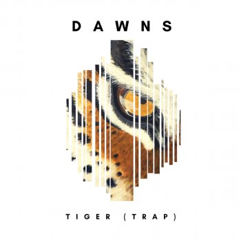 DAWNS Tiger - Trap