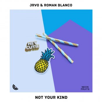 JRVO feat. Roman Blanco Not Your Kind