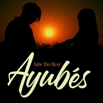 Ashs The Best Ayubes