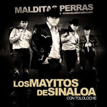 Los Mayitos De Sinaloa Malditas Perras