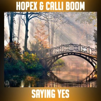 Hopex feat. Calli Boom Saying Yes