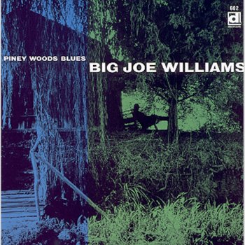 Big Joe Williams Drop Down Mama