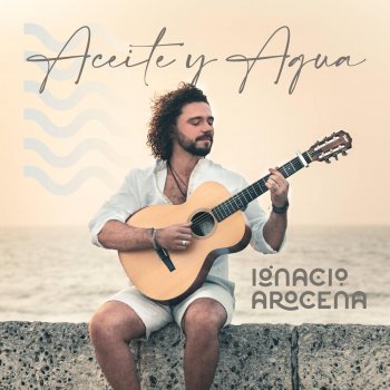 Ignacio Arocena Aceite y Agua