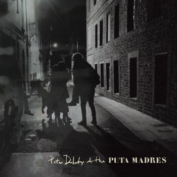 Peter Doherty & The Puta Madres Who's Been Having You Over - Single Mix