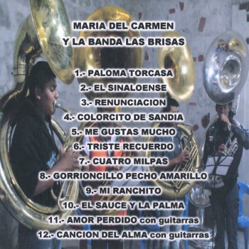 Maria del Carmen Amor Perdido (Con Guitarras)