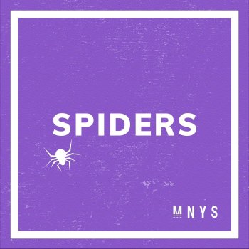 MNYS SPIDERS