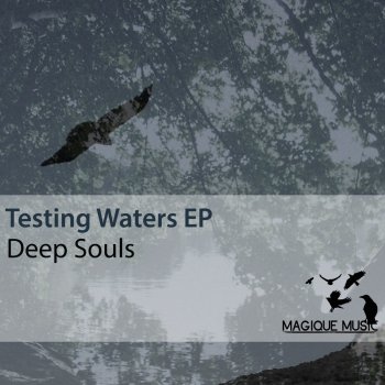 Deep Souls Testing Waters