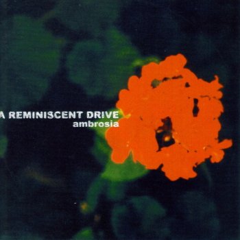 A Reminiscent Drive The Unseen World