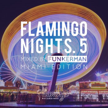 Funkerman Flamingo Nights 5 Continuous Mix by Funkerman