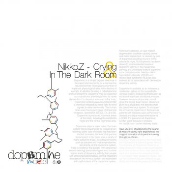 Nikko.Z In the Dark Room