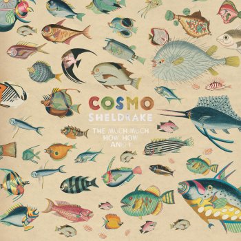 Cosmo Sheldrake Linger a While