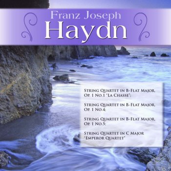 Franz Joseph Haydn feat. The Dekany String Quartet;Franz Joseph Haydn String Quartet in B-Flat Major, Op. 1 No.4: V. Presto