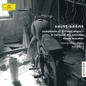 Camille Saint-Saëns, Jerome Rosen, Boston Pops Orchestra & Arthur Fiedler Danse macabre, Op.40