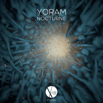 Yoram Nocturne