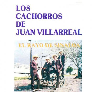 Los Cachorros de Juan Villarreal El Rayo de Sinaloa