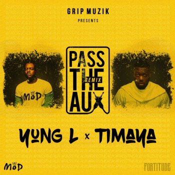 Yung L feat. Timaya Pass The Aux - Remix