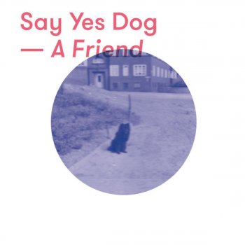 Say Yes Dog Around My Neck