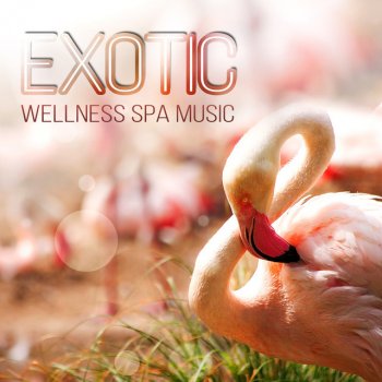 Tranquility Spa Universe Exotic Wellness Spa Music