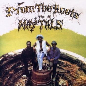 The Maytals Your Troubles Are Over - Bonus track