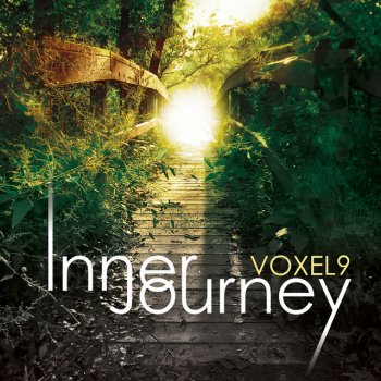 Voxel9 Inner Journey V